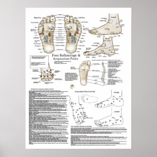 Poster Reflexologie du pied et Acupuncture Point