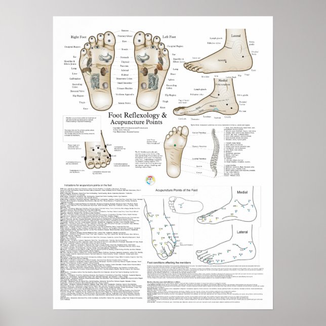 Poster Reflexologie du pied et Acupuncture Point (Devant)