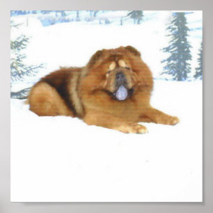 Poster Refroidissement dans la neige craquante