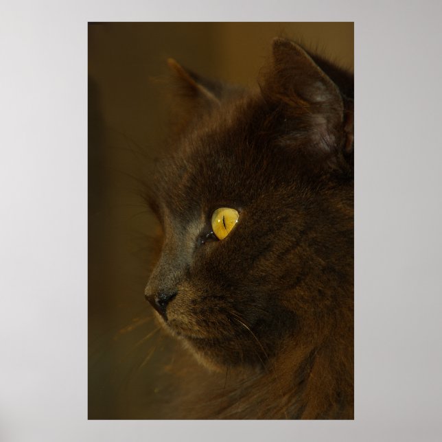 Poster Regard (Devant)