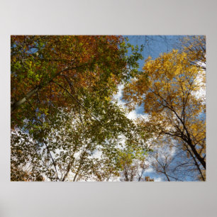 Poster Regard sur les feuilles d'automne II Automne Natur