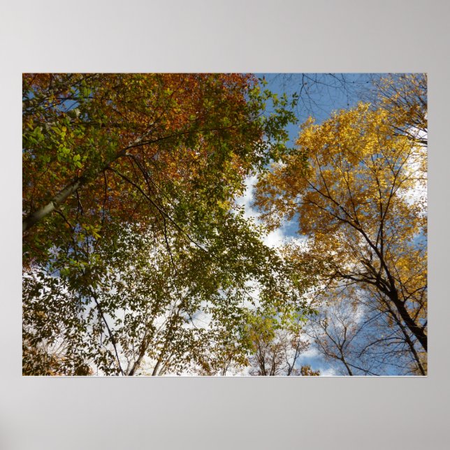 Poster Regard sur les feuilles d'automne II Automne Natur (Devant)