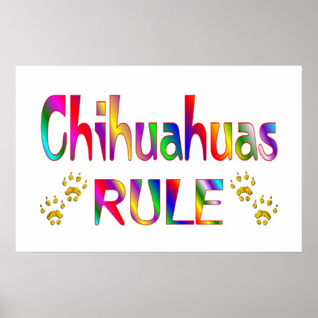 Poster Règle du Chihuahuas (Devant)