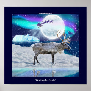 Poster Reindeer Arctique et Imaginaire de Noël du Père No