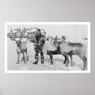 Poster Reindeer Herd Alaska 1909
