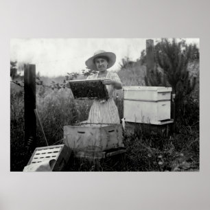 Poster REINE BEEKEEPER 19e siècle