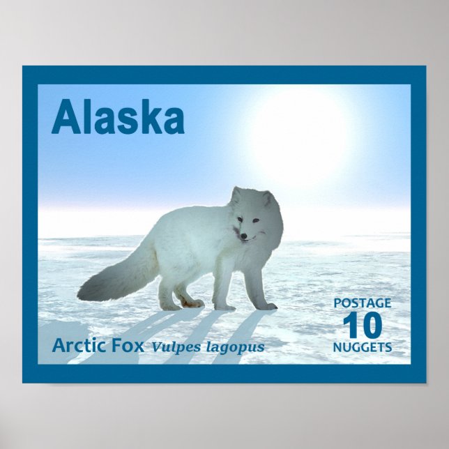Poster Renard arctique - Alaska Postage (Devant)