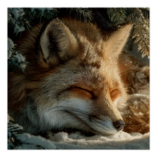 Poster Renard des neiges ensoleillé