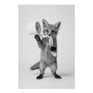 Poster Renard drôle tenant du papier toilette, faune mini