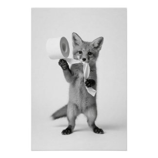 Poster Renard drôle tenant du papier toilette, faune mini