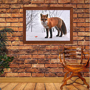 Poster Renard rouge en neige