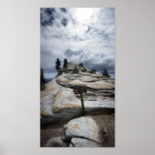 Poster Repos des nuages - Yosemite