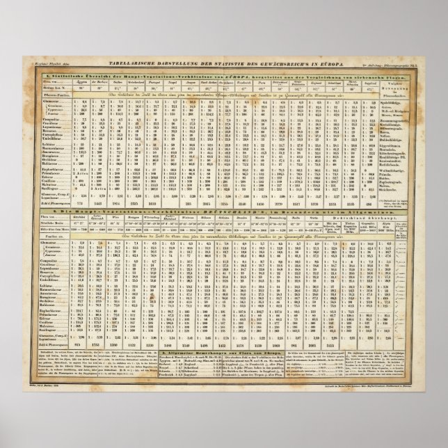 Poster représentation tabulaire des statistiques (Devant)