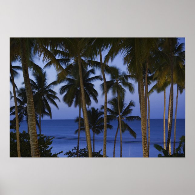 Poster République dominicaine, péninsule de Samana, Las (Devant)