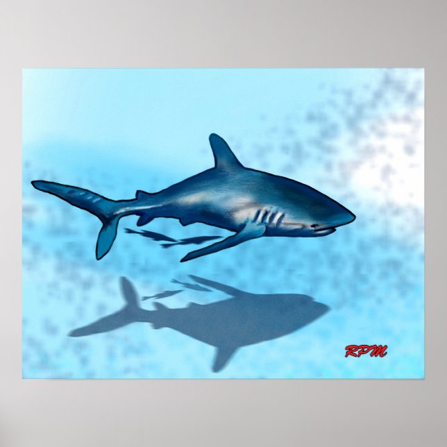 Poster Requin (Devant)