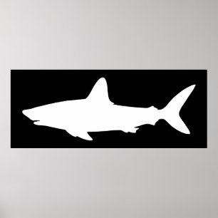 Poster Requin de natation noir et blanc