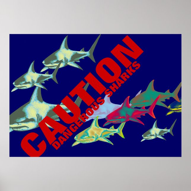 Poster requins, prudence, dangereux (Devant)