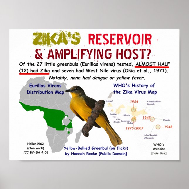 Poster Réservoir de Zika et hôte amplificateur par RoseWr (Devant)