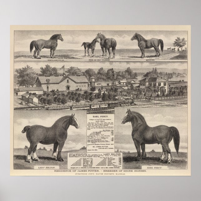 Poster Residence of James Potter, Junction City, Kansas (Devant)