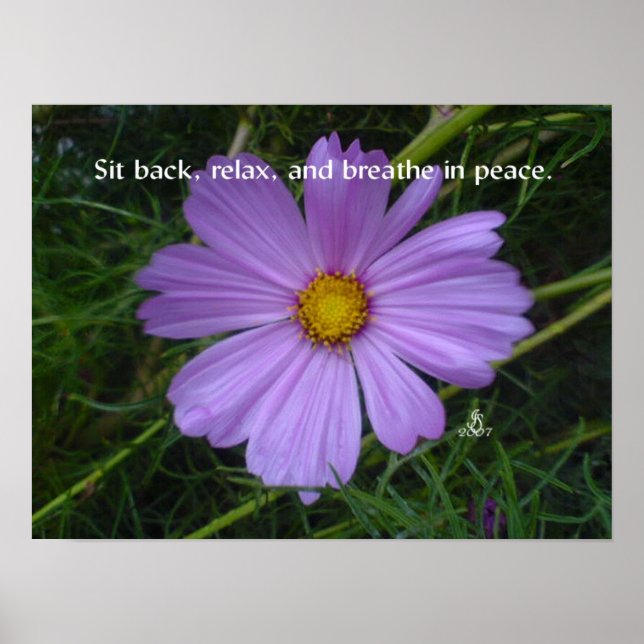 Poster Respire en paix (Devant)