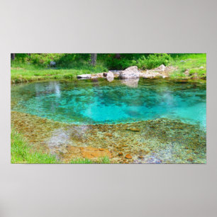 Poster Ressort de broyage Byrds - Couleur saturée