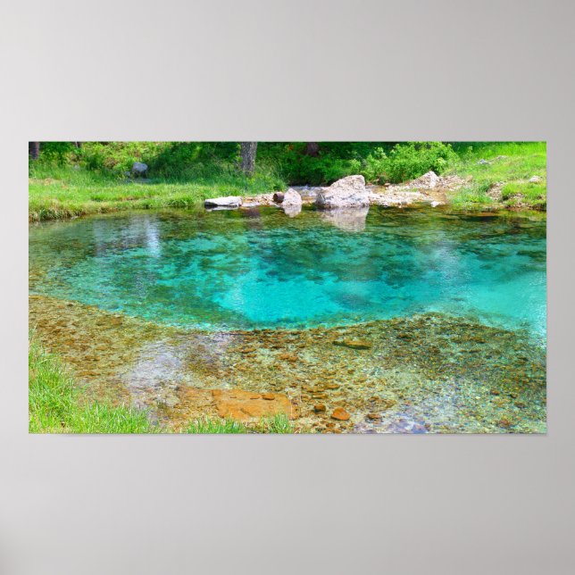 Poster Ressort de broyage Byrds - Couleur saturée (Devant)