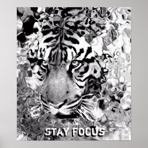 Poster Rester Focus_Poster
