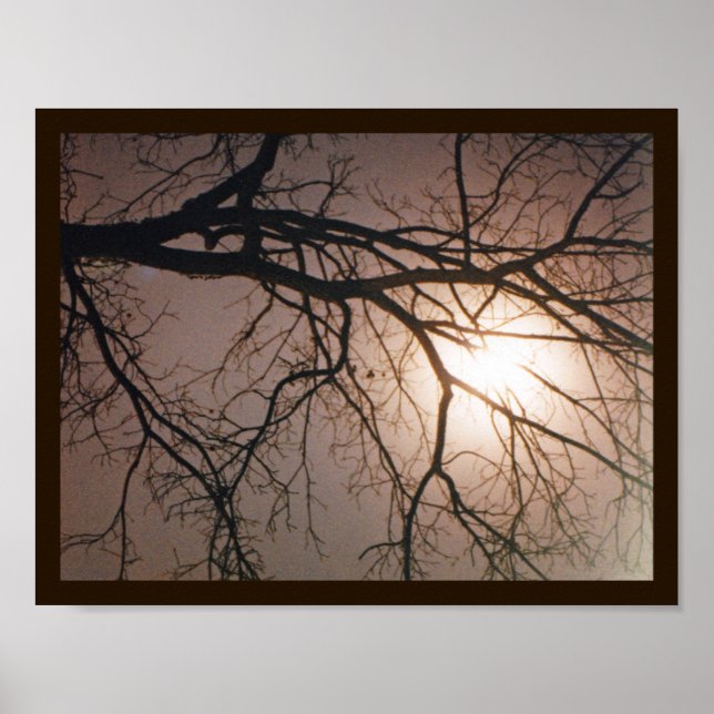 Poster Rêve lunaire (Devant)