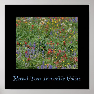 Poster Révélez vos couleurs incroyables