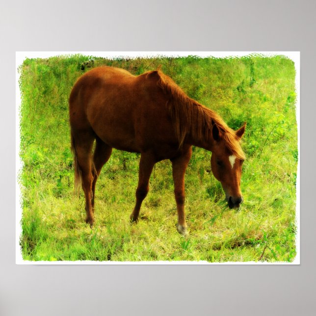 Poster Rêves d'été, Sorrel Manger de l'herbe (Devant)