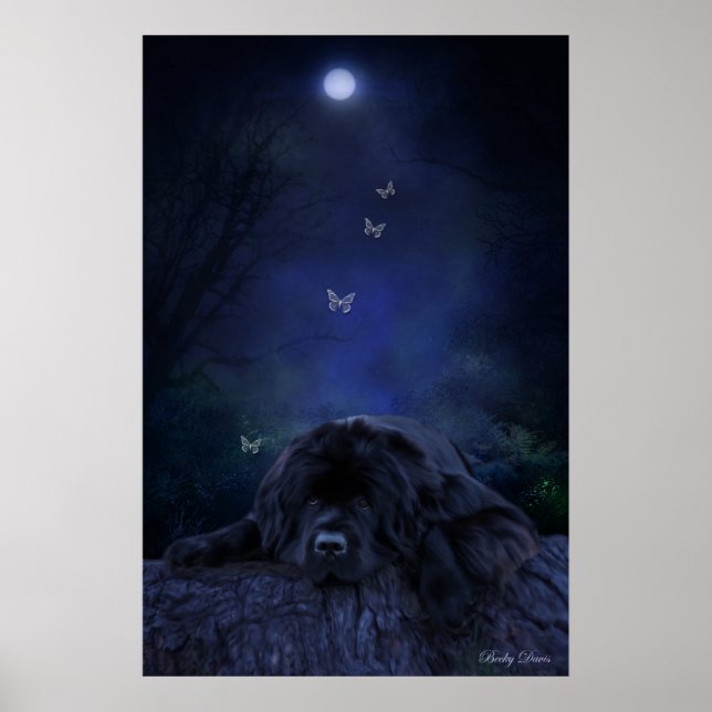 Poster Rêveur de la forêt (Devant)