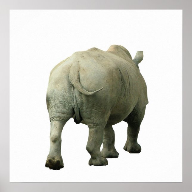 Poster Rhino (Devant)