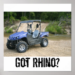 Poster Rhinocéros obtenu ?