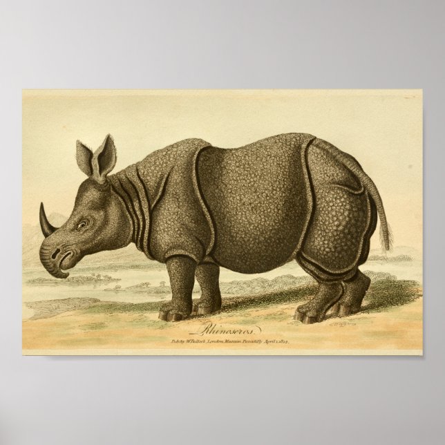 Poster Rhinoceros vintage Histoire naturelle Imprimer (Devant)