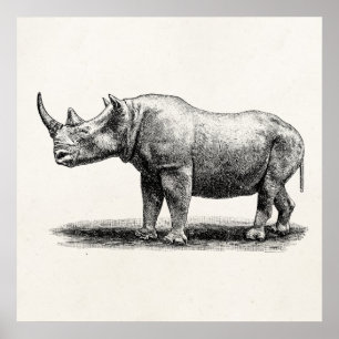 Poster Rhinoceros vintage Illustration Rhino Rhinos