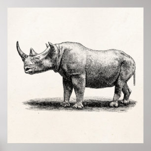 Poster Rhinocéros vintages de rhinocéros d'illustration