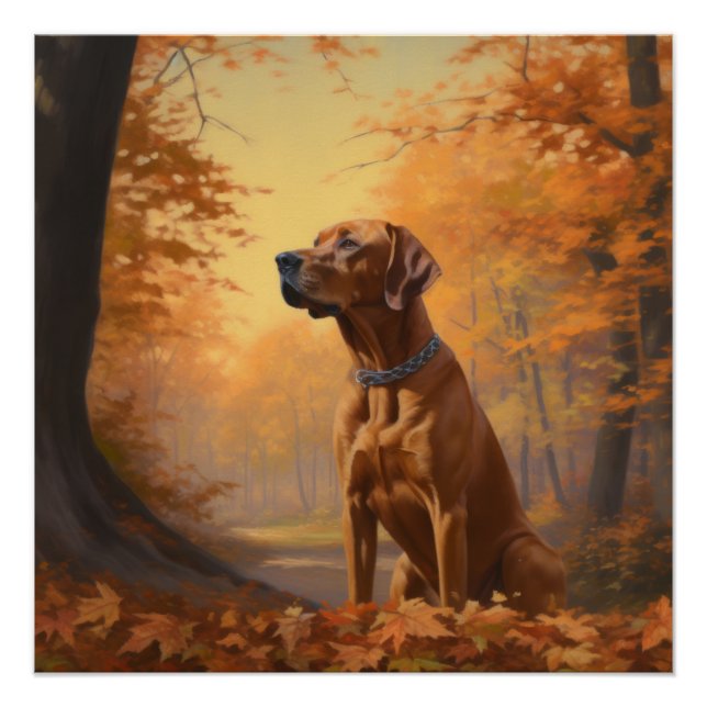 Poster Rhodesian Ridgeback dans les feuilles d'automne to (Devant)