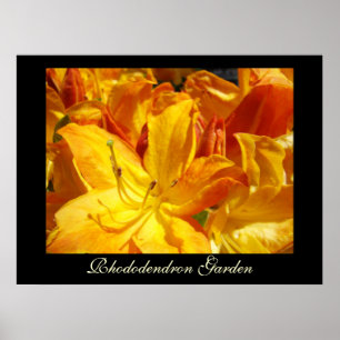 Poster Rhododendron Fleurs imprimés d'art Soeurs Jardin
