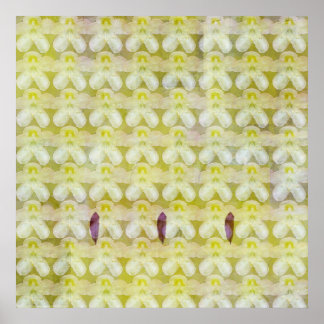 Poster Rhododendron Max