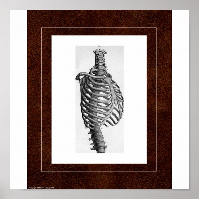 Poster Rib Spirit House (Devant)