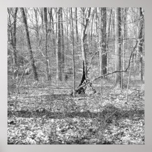 Poster Ridley Creek State Park