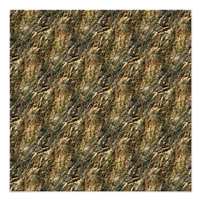 Poster Ripplin' Mountain... (Devant)