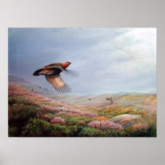 Poster 'Rising Grouse' - imprimer sur la toile