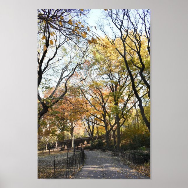 Poster Riverside Park Fall Folig New York Automne NYC (Devant)