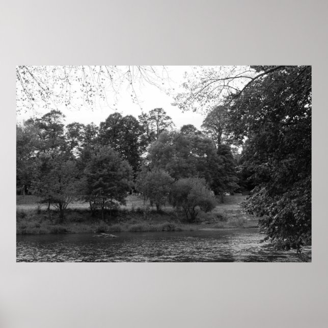 Poster Rivière Taff à Bute Park, Cardiff - BW (Devant)