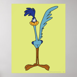 Poster ROAD RUNNER™ en couleur