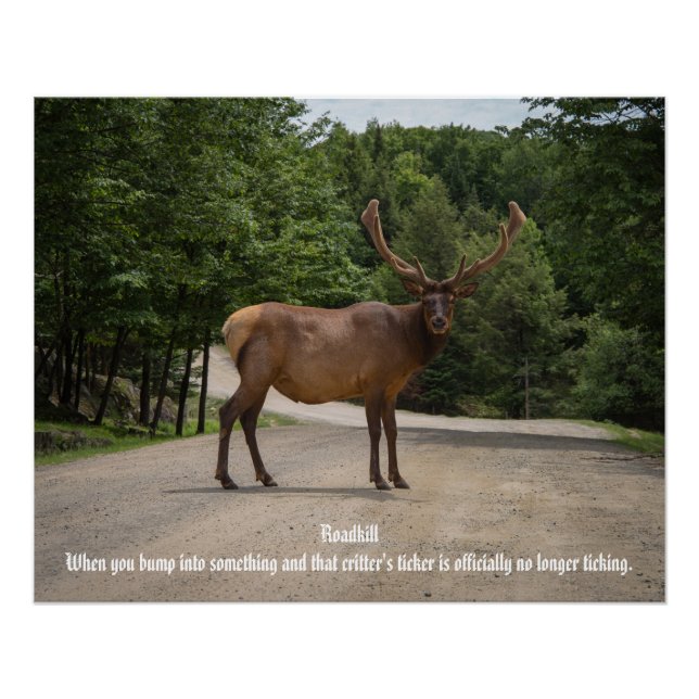 Poster Roadkill (Devant)