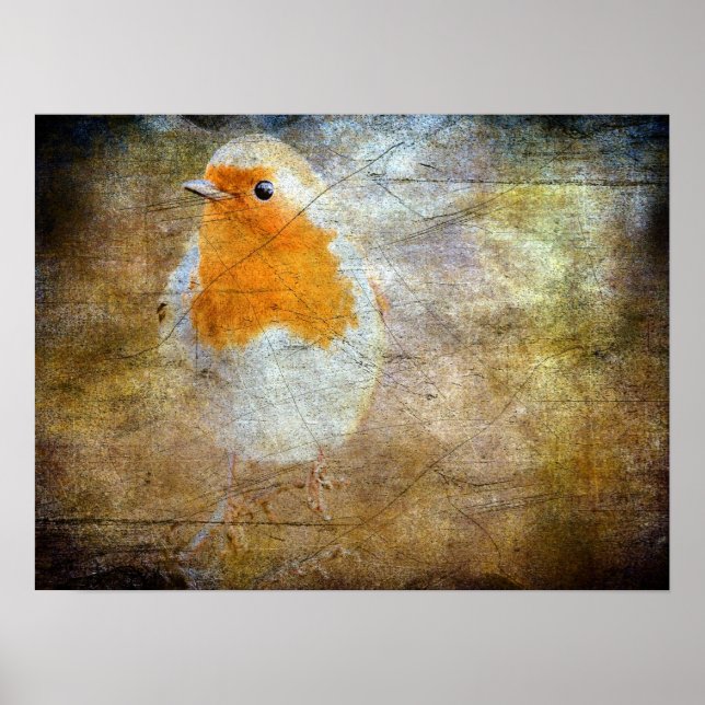 Poster Robin Grunge (Devant)