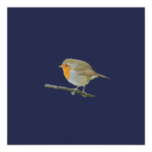 Poster Robin Redmamin