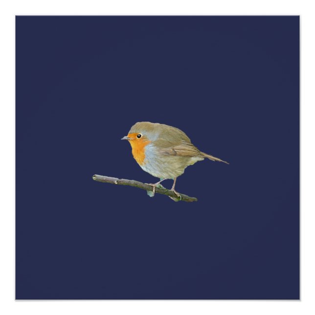 Poster Robin Redmamin (Devant)